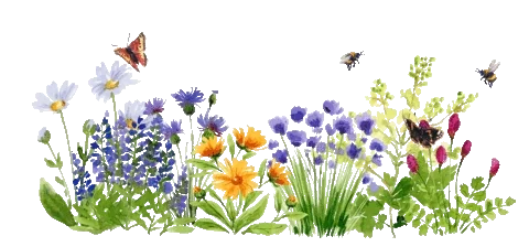 Bloemen met vlinders